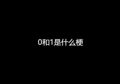 0和1是什么梗