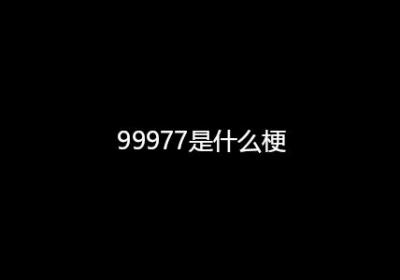 99977是什么梗