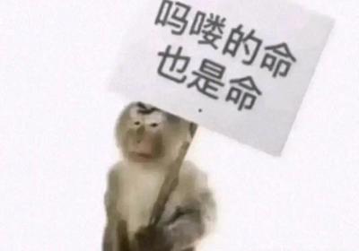吗喽是什么梗？