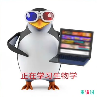 恶俗企鹅是什么梗?