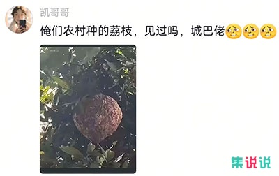 城巴佬是什么梗?