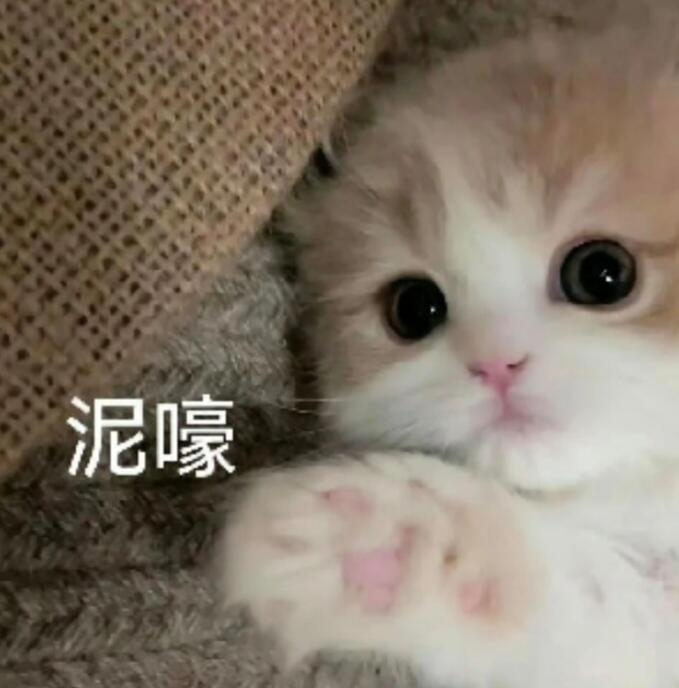 啊?是什么梗?