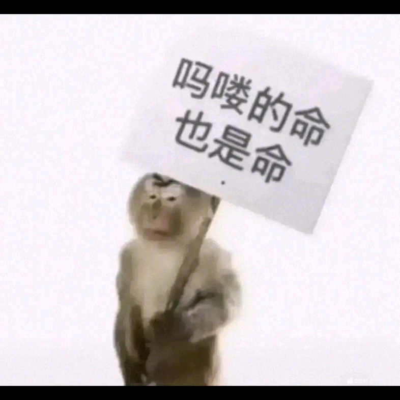 吗喽是什么梗?