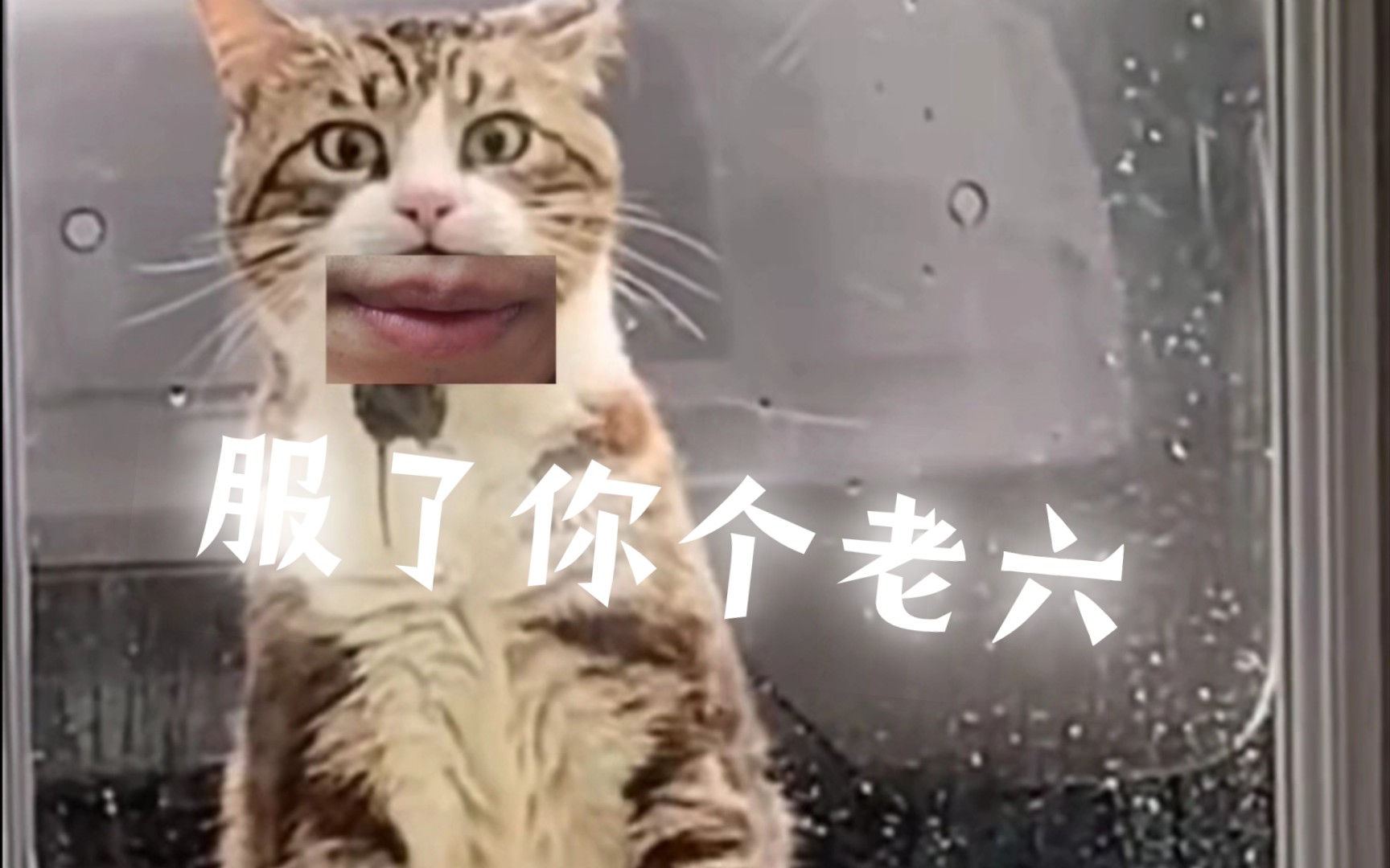 你个老六是什么梗?