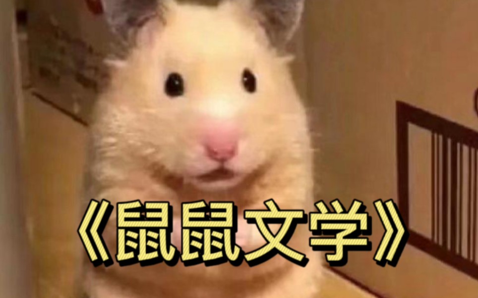XX文学是什么梗?