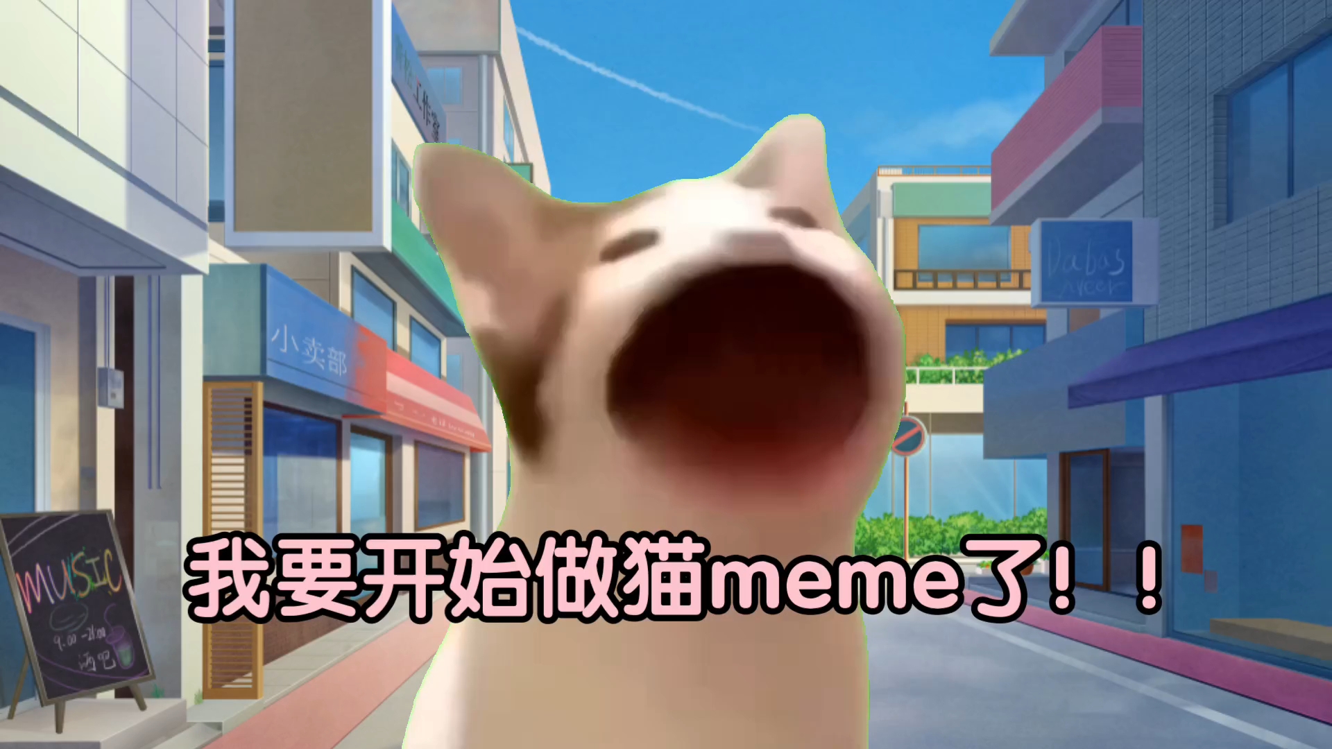 猫meme是什么梗?
