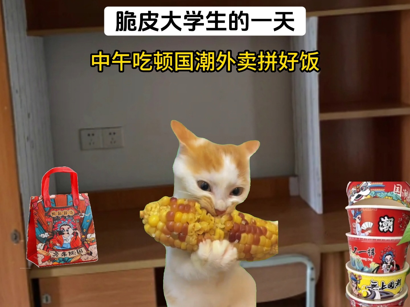 脆皮大学生是什么梗?