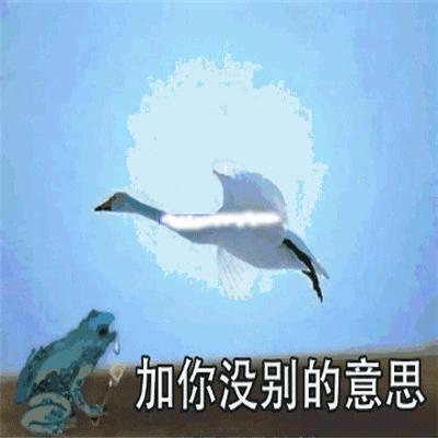 冰冻罗非鱼警告是什么梗?