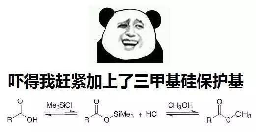 知食分子是什么梗?