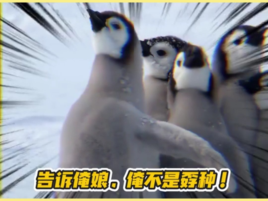 窝囊废文学是什么梗?