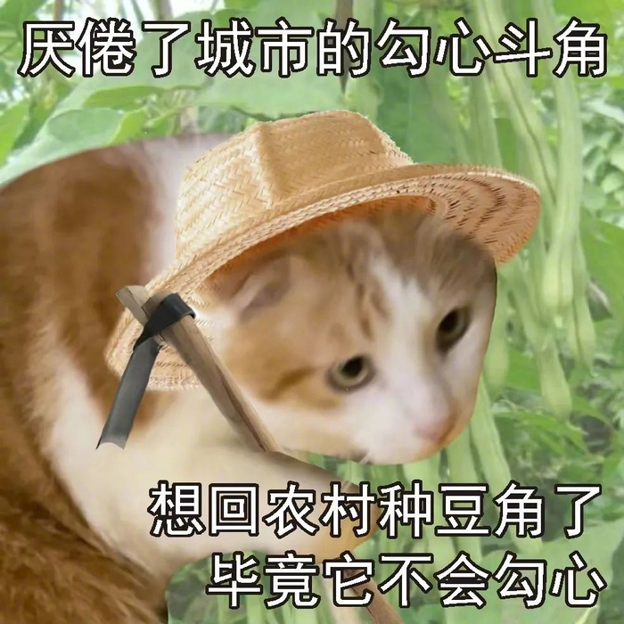 摆烂式社交是什么梗?