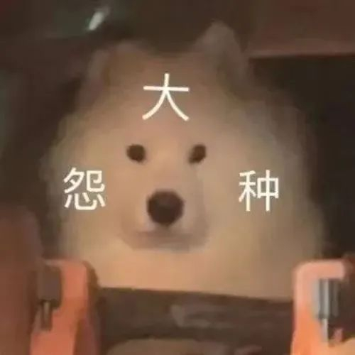 纯纯大冤种是什么梗？