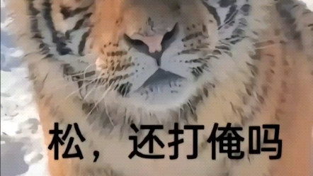 滑铲杀虎是什么梗？