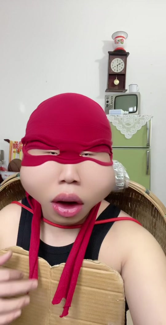 忍者神龟是什么梗?