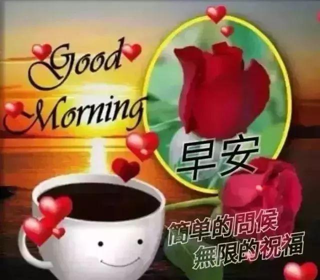 无限美女是什么梗?