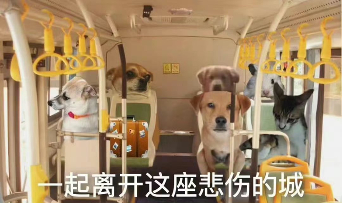 班味入肺是什么梗?