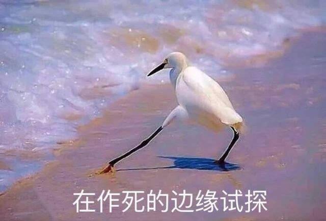 在xx的边缘试探是什么梗？