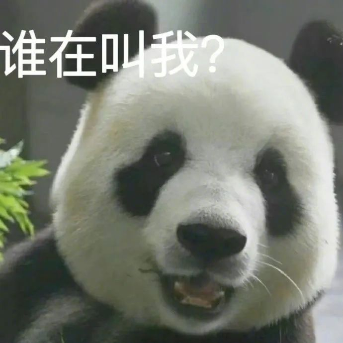ymgg是什么梗？