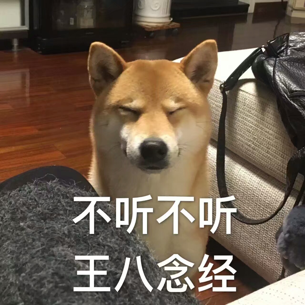 不听不听王八念经是什么梗?