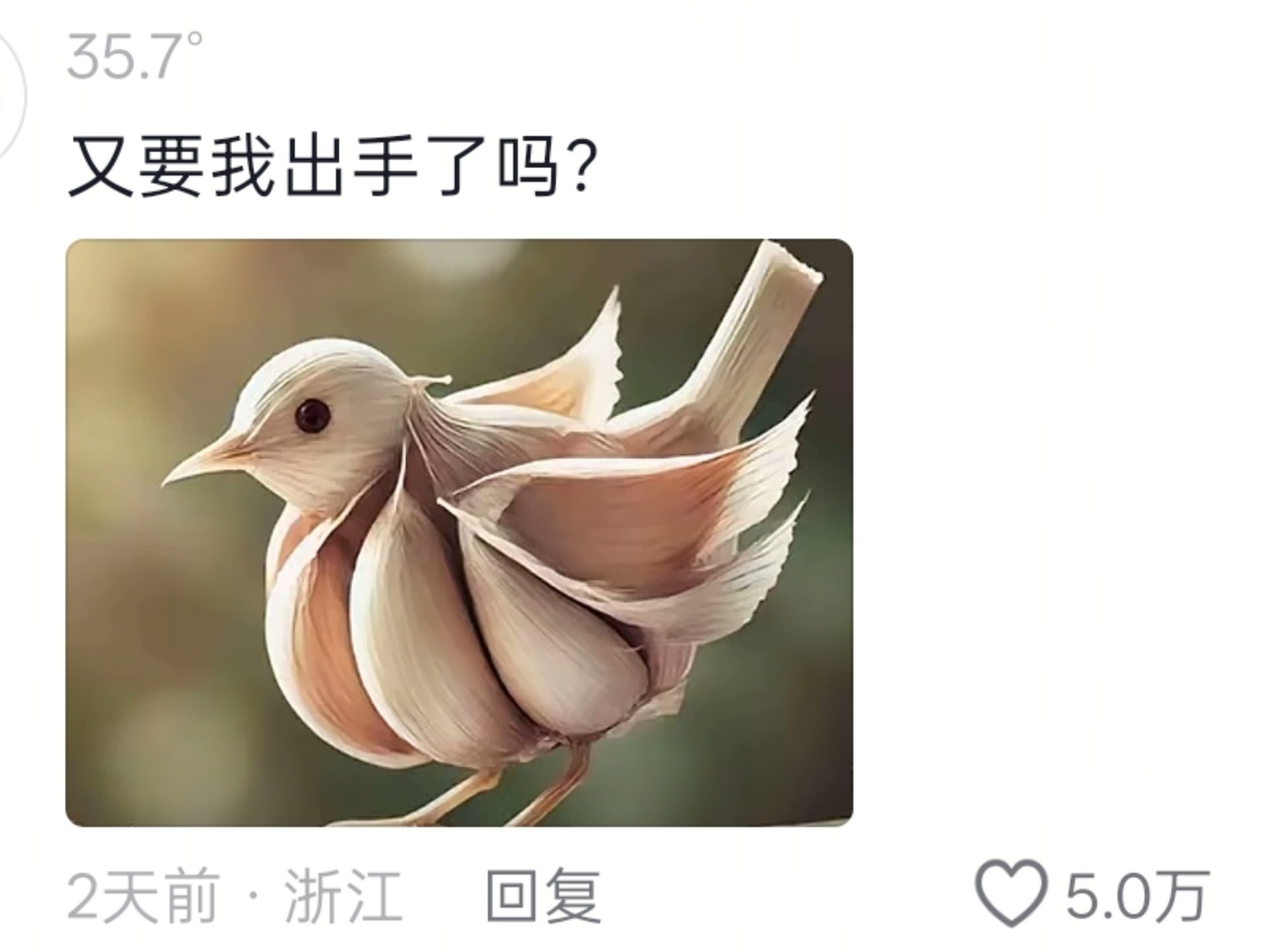 蒜鸟是什么梗？