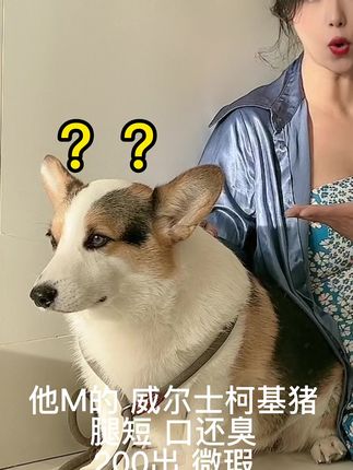 微瑕是什么梗？