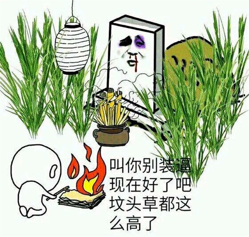 坟头草是什么梗？
