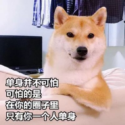 单身狗是什么梗？