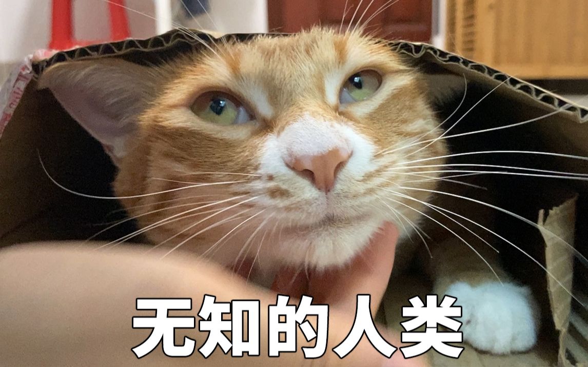 人类六大本质是什么梗？