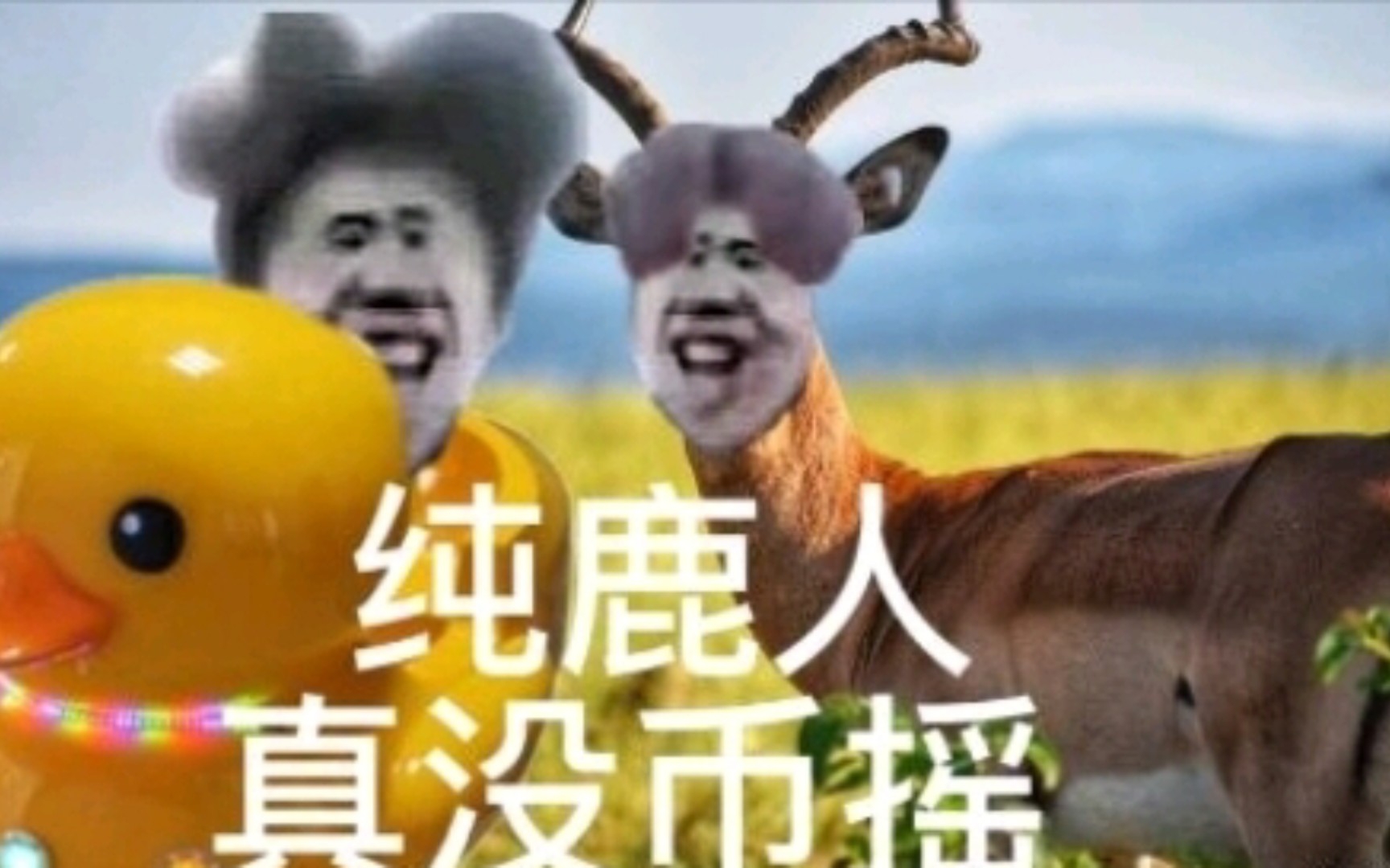开团是什么梗?