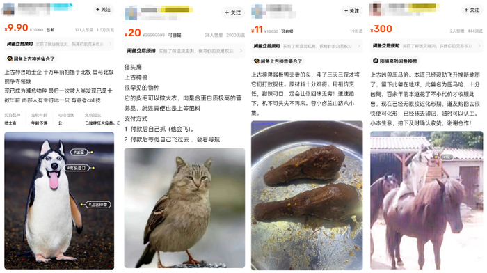 闲鱼文学是什么梗？