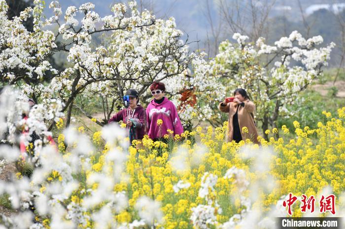 追春式旅游是什么梗?