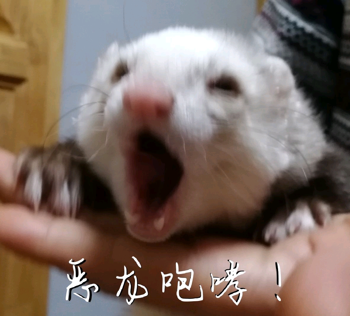 恶龙咆哮是什么梗?