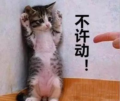 「肇事司机找到了吗」是什么梗？