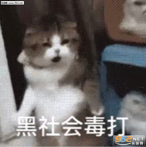 社会的毒打是什么梗？