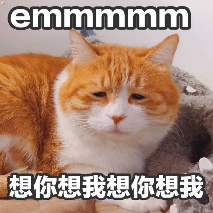 想你想你想我是什么梗？