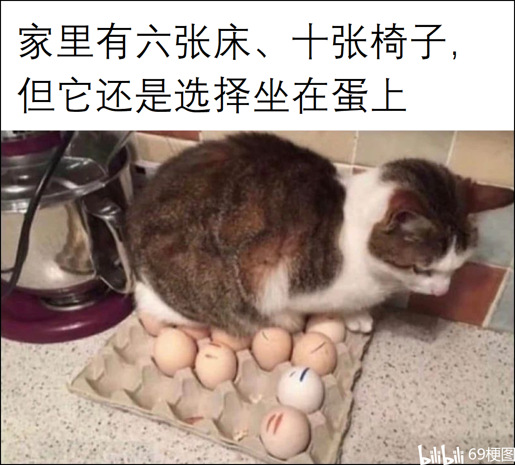 坐家是什么梗？