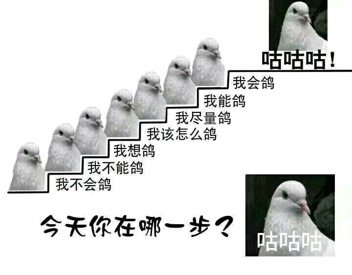 鸽子咕咕咕是什么梗？